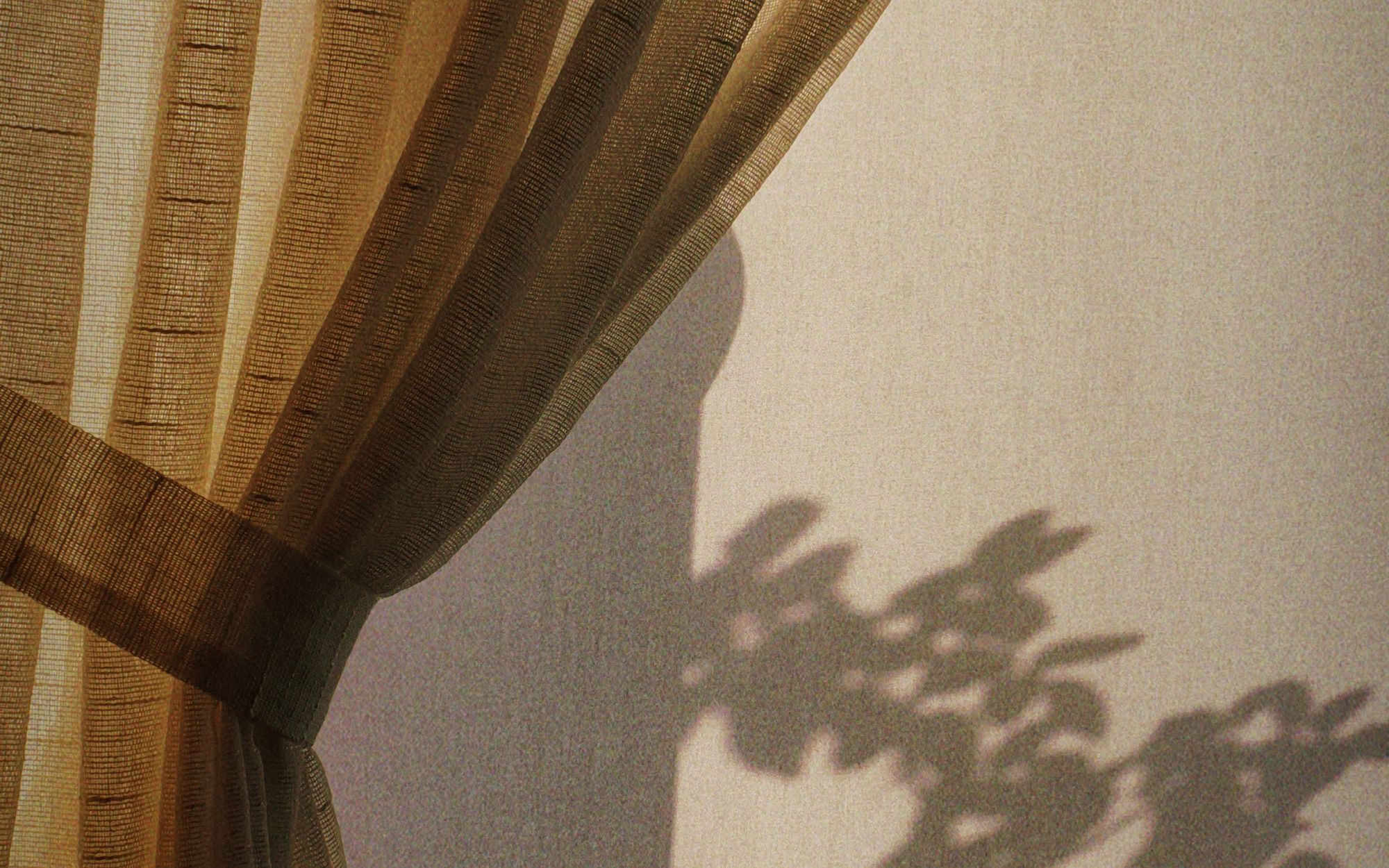 Un rideau de lin et l'ombre d'une plante sur un mur baigné de soleil